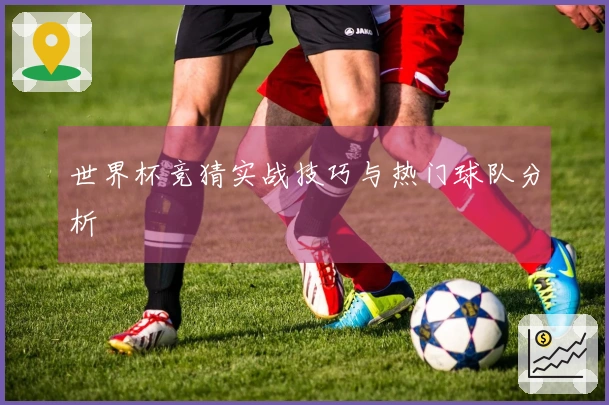 世界杯竞猜实战技巧与热门球队分析