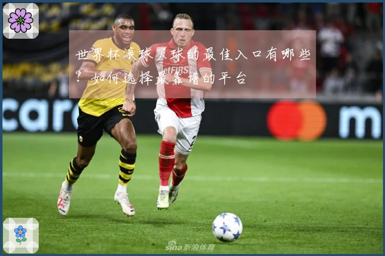 世界杯滚球买球的最佳入口有哪些？如何选择最靠谱的平台