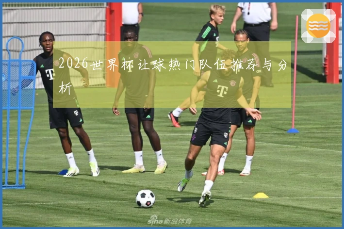 2026世界杯让球热门队伍推荐与分析