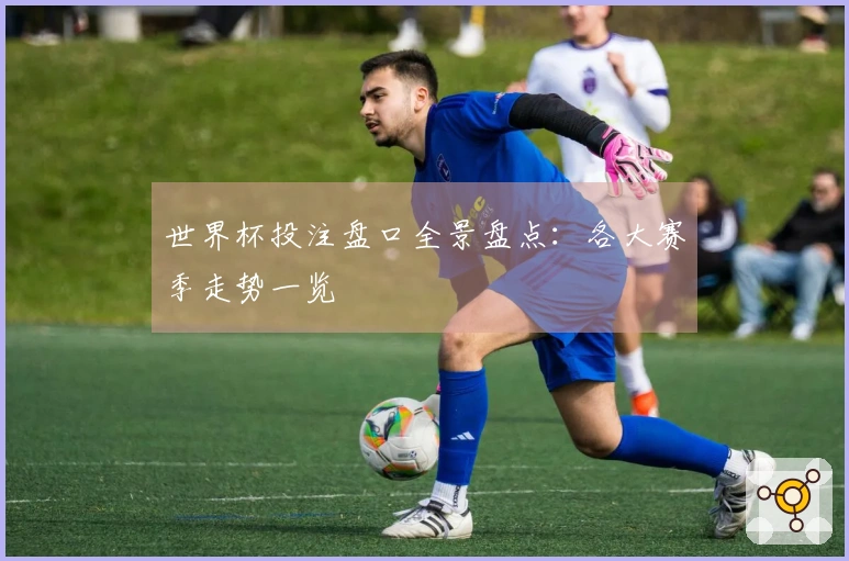 世界杯投注盘口全景盘点：各大赛季走势一览