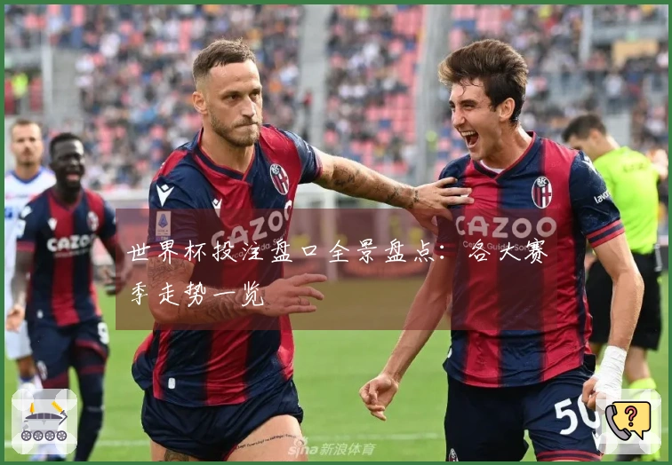 世界杯投注盘口全景盘点：各大赛季走势一览